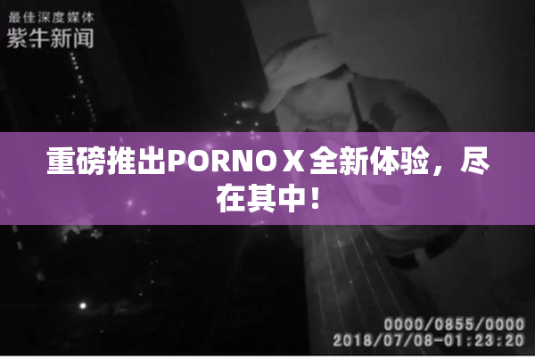 重磅推出PORNOⅩ全新体验，尽在其中！
