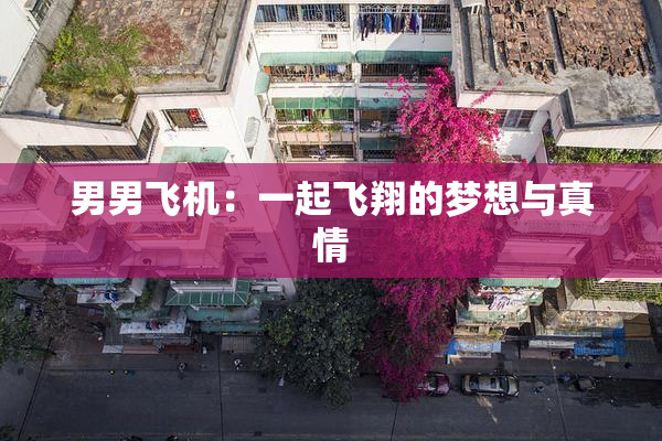 男男飞机：一起飞翔的梦想与真情