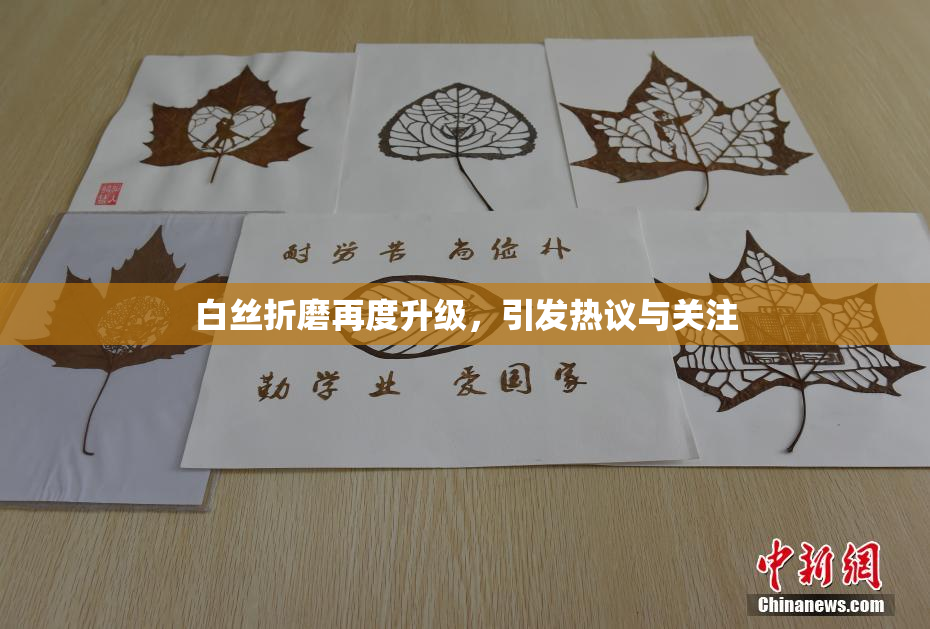 白丝折磨再度升级，引发热议与关注