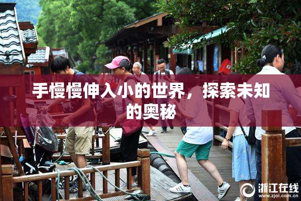 手慢慢伸入小的世界，探索未知的奥秘