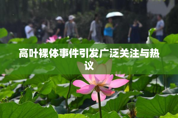 高叶裸体事件引发广泛关注与热议