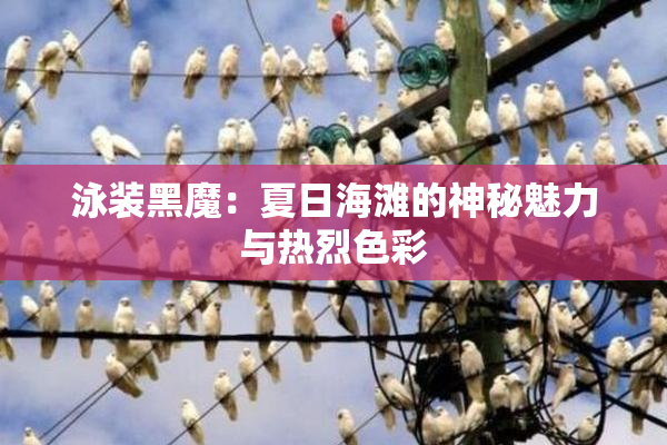 泳装黑魔：夏日海滩的神秘魅力与热烈色彩