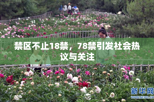 禁区不止18禁，78禁引发社会热议与关注
