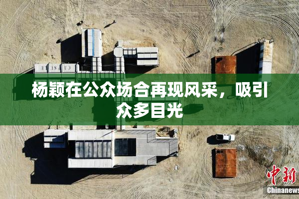 杨颖在公众场合再现风采，吸引众多目光
