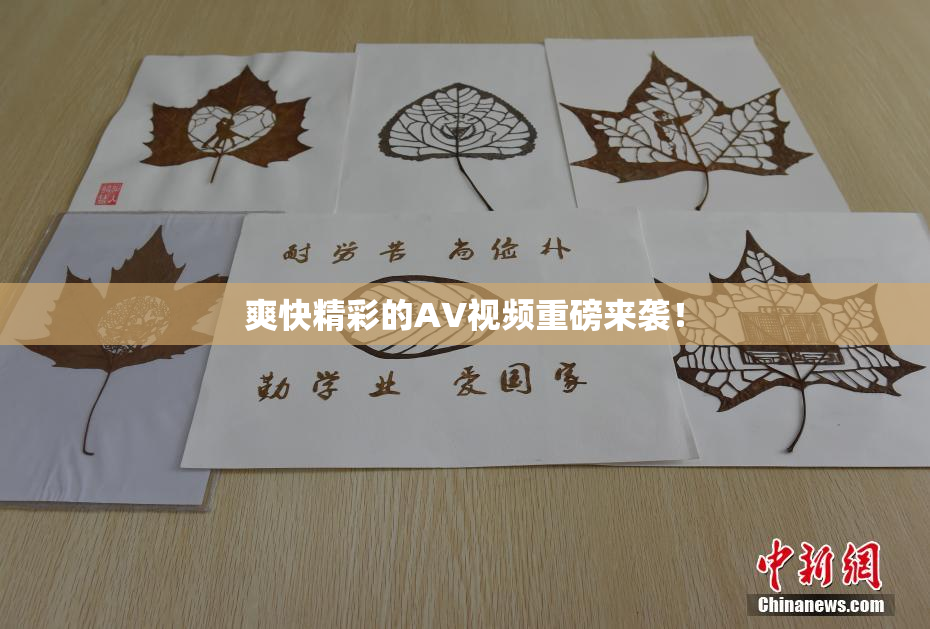 爽快精彩的AV视频重磅来袭！