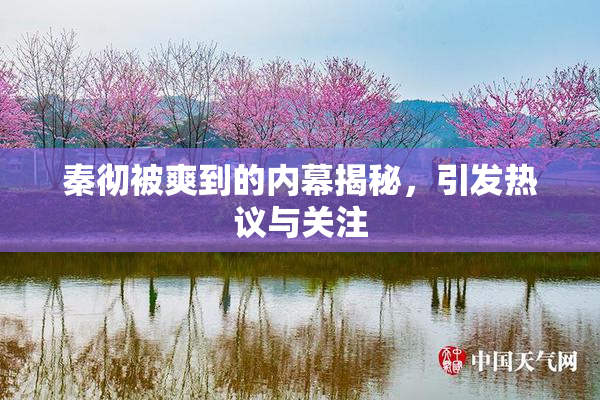 秦彻被爽到的内幕揭秘，引发热议与关注