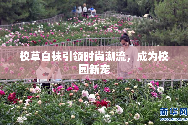 校草白袜引领时尚潮流，成为校园新宠