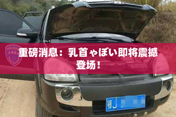 重磅消息：乳首ゃぼい即将震撼登场！