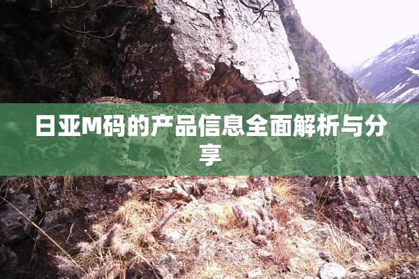 日亚M码的产品信息全面解析与分享