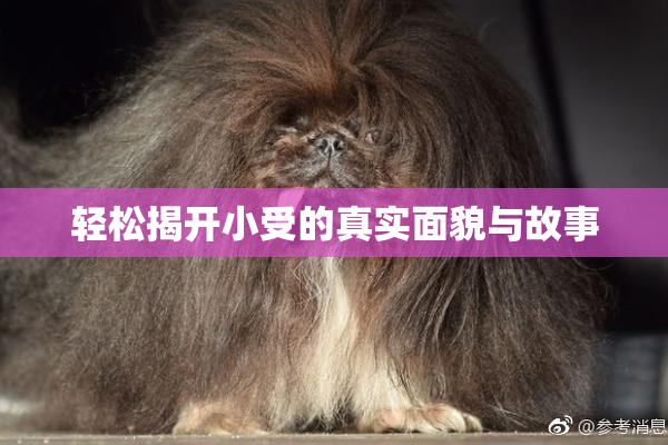轻松揭开小受的真实面貌与故事