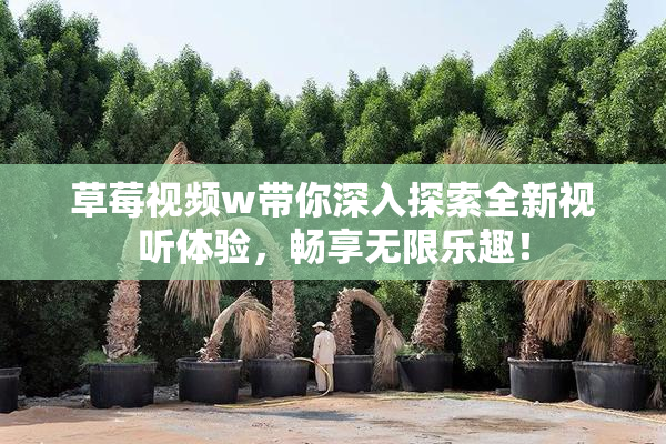草莓视频w带你深入探索全新视听体验，畅享无限乐趣！