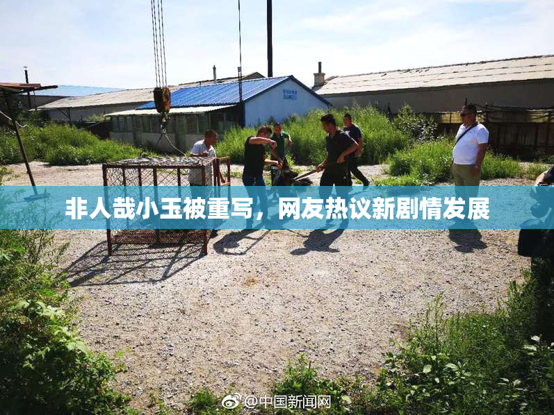 非人哉小玉被重写，网友热议新剧情发展