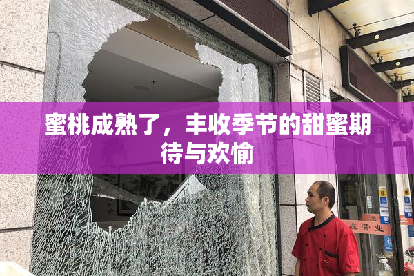 蜜桃成熟了，丰收季节的甜蜜期待与欢愉