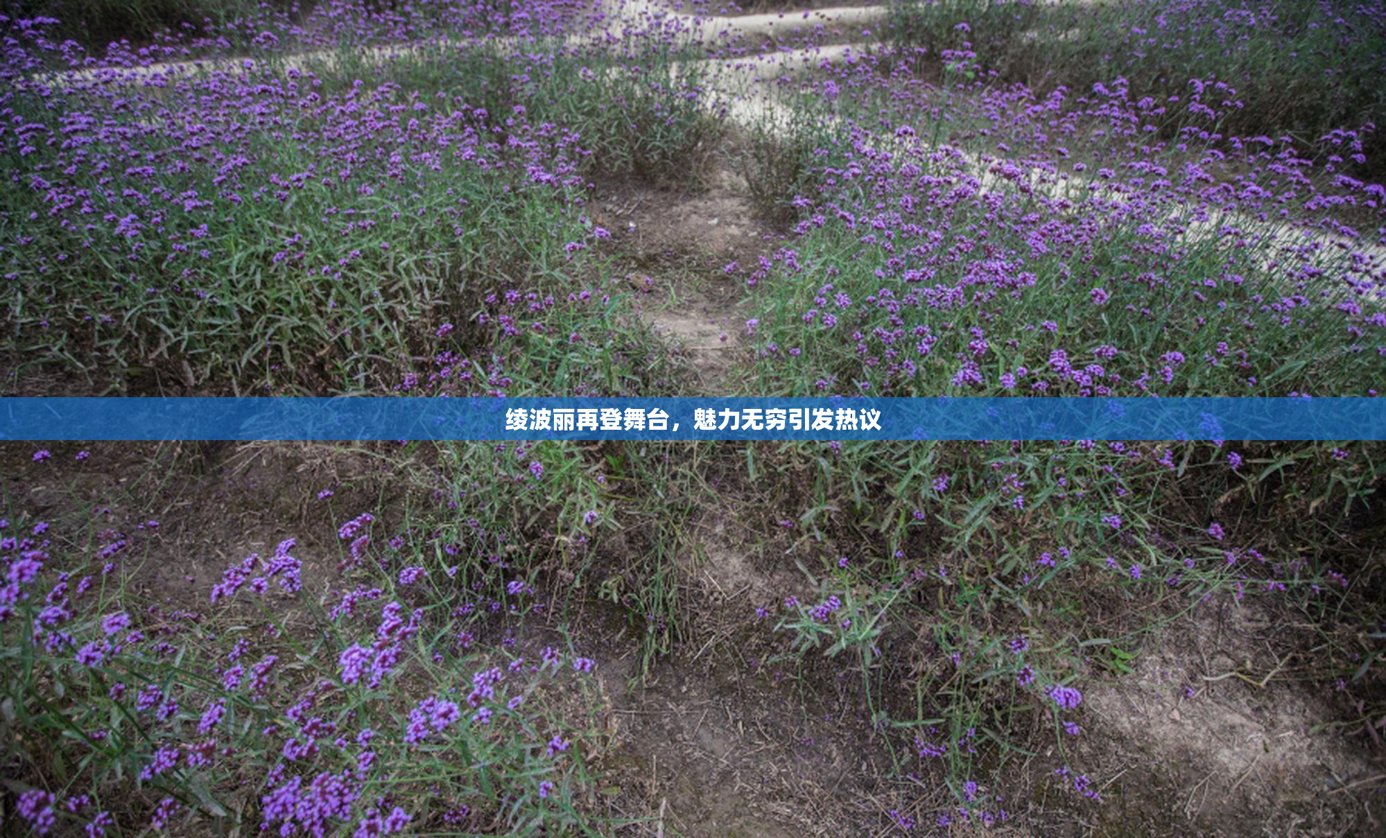 绫波丽再登舞台，魅力无穷引发热议