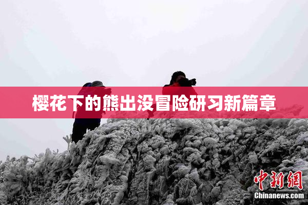 樱花下的熊出没冒险研习新篇章