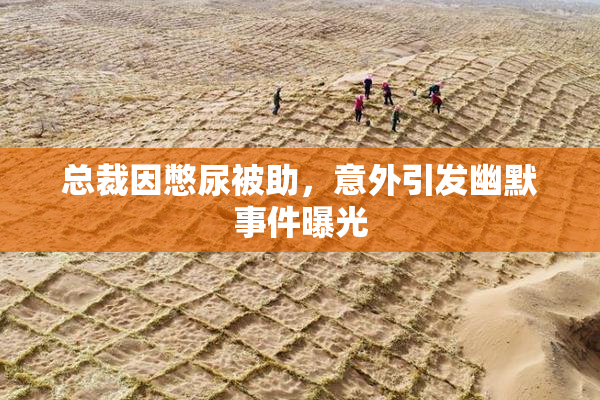 总裁因憋尿被助，意外引发幽默事件曝光