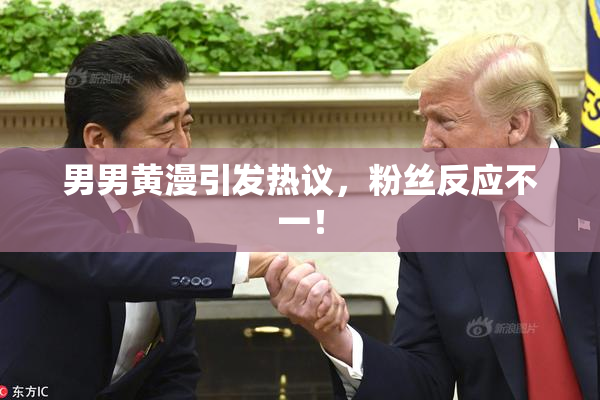 男男黄漫引发热议，粉丝反应不一！