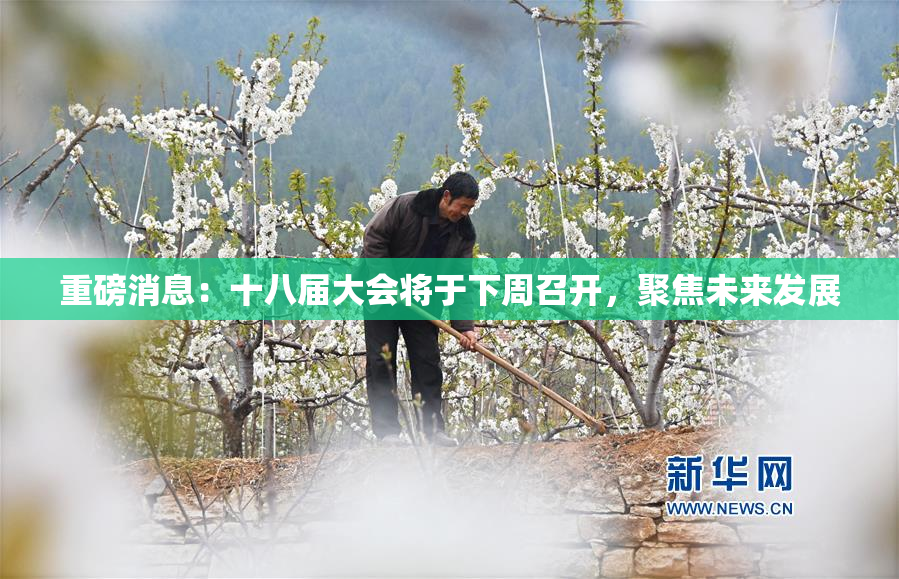 重磅消息：十八届大会将于下周召开，聚焦未来发展