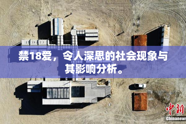 禁18爱，令人深思的社会现象与其影响分析。