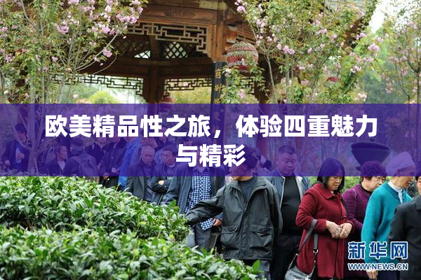 欧美精品性之旅，体验四重魅力与精彩