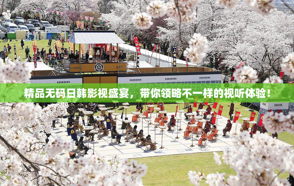 精品无码日韩影视盛宴，带你领略不一样的视听体验！