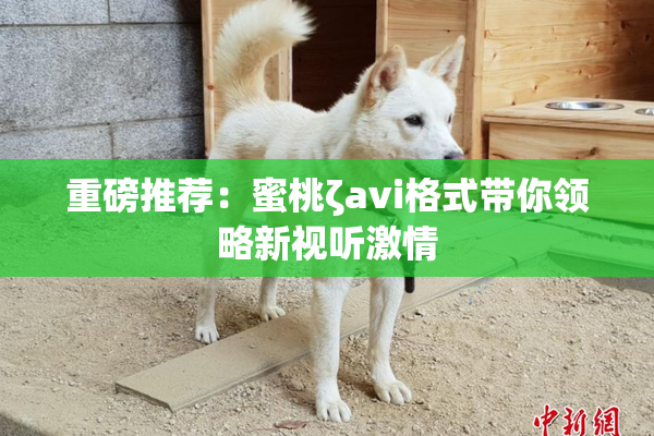 重磅推荐：蜜桃ζavi格式带你领略新视听激情