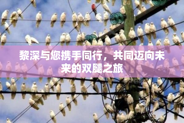黎深与您携手同行，共同迈向未来的双腿之旅
