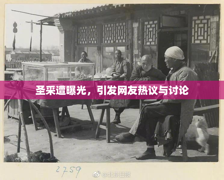 圣采遭曝光，引发网友热议与讨论