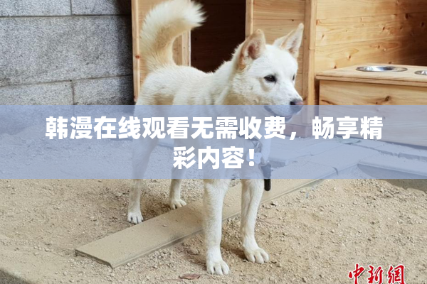 韩漫在线观看无需收费，畅享精彩内容！