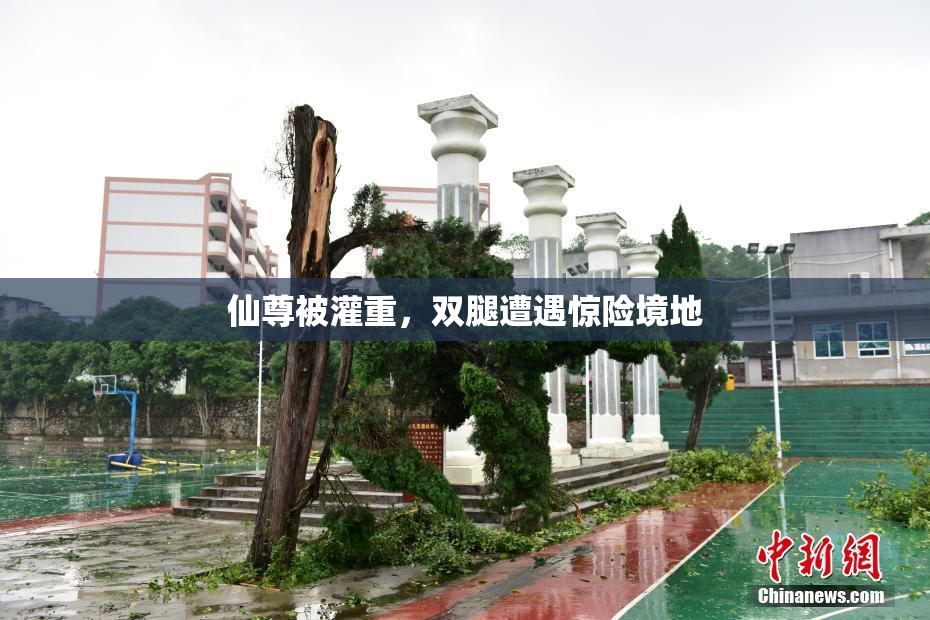 仙尊被灌重，双腿遭遇惊险境地