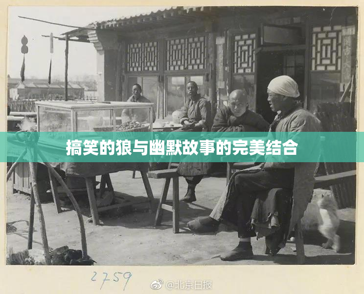 搞笑的狼与幽默故事的完美结合