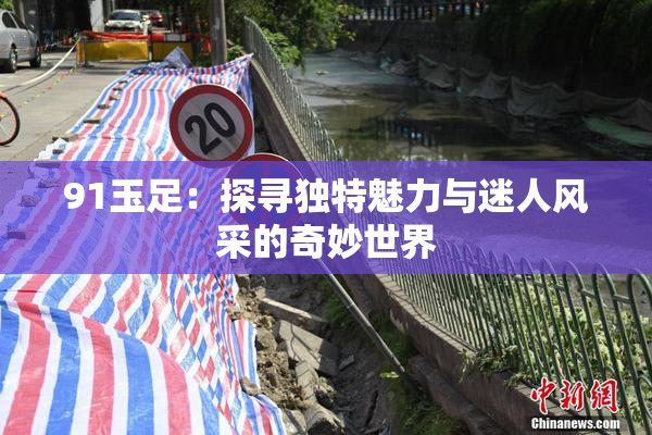 91玉足：探寻独特魅力与迷人风采的奇妙世界