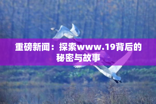 重磅新闻：探索www.19背后的秘密与故事