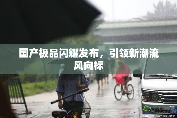 国产极品闪耀发布，引领新潮流风向标