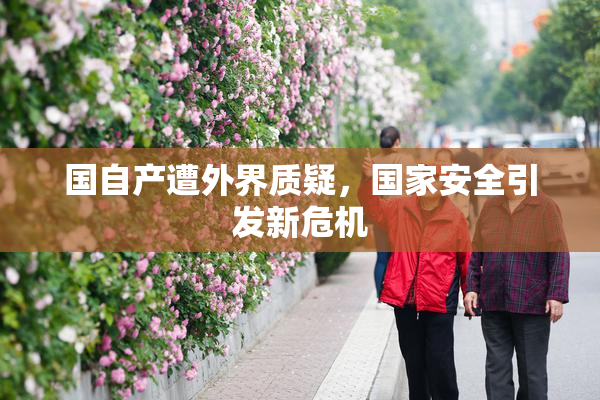 国自产遭外界质疑，国家安全引发新危机