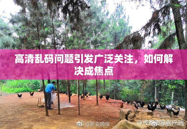 高清乱码问题引发广泛关注，如何解决成焦点