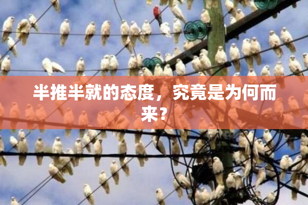 半推半就的态度，究竟是为何而来？