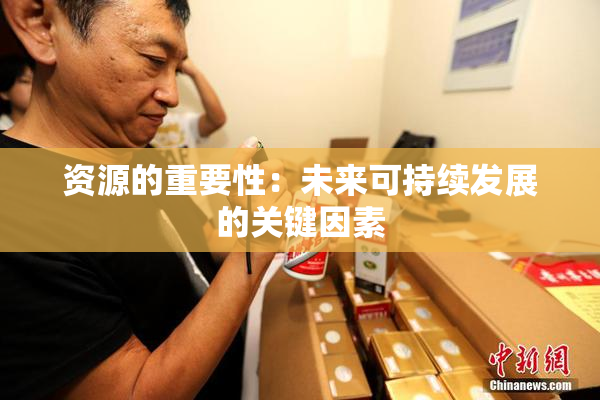 资源的重要性：未来可持续发展的关键因素