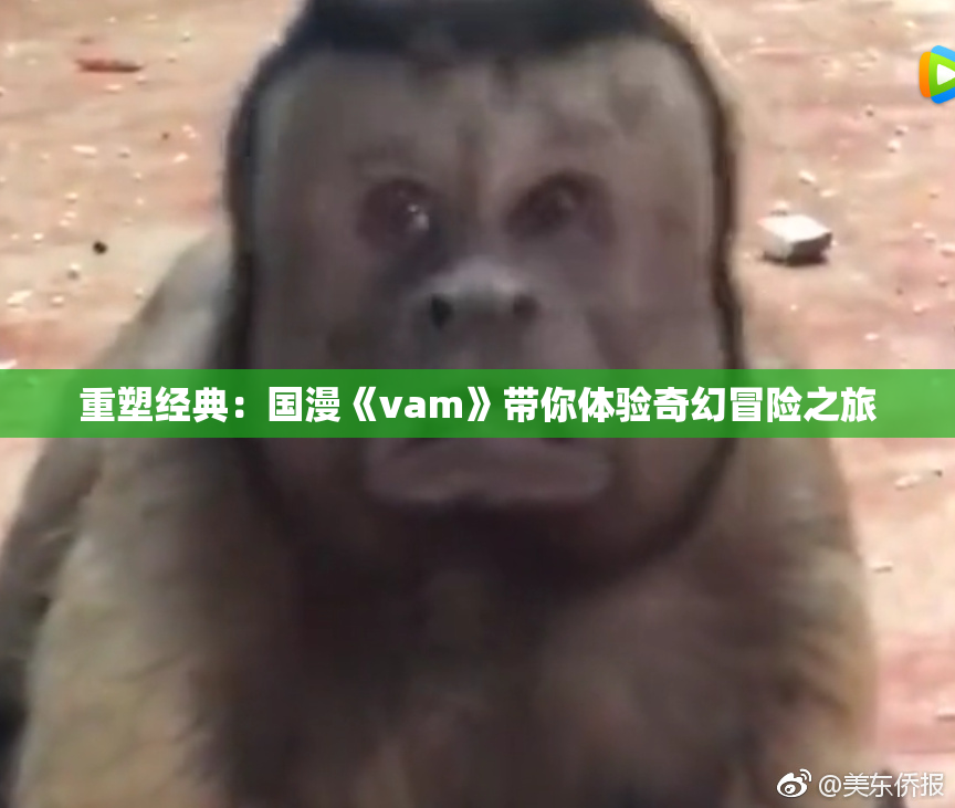 重塑经典：国漫《vam》带你体验奇幻冒险之旅