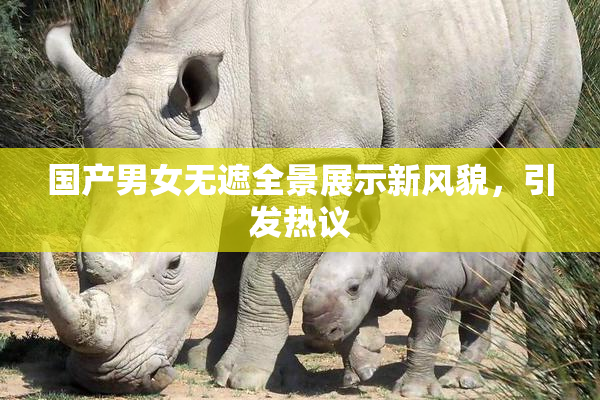 国产男女无遮全景展示新风貌，引发热议