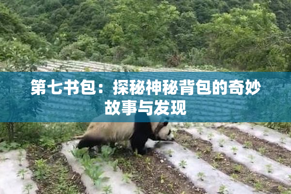 第七书包：探秘神秘背包的奇妙故事与发现