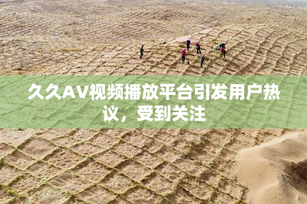 久久AV视频播放平台引发用户热议，受到关注