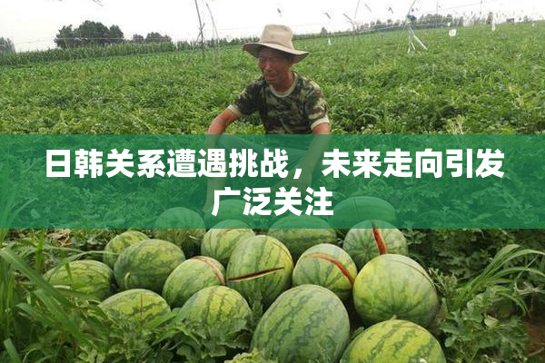 日韩关系遭遇挑战，未来走向引发广泛关注