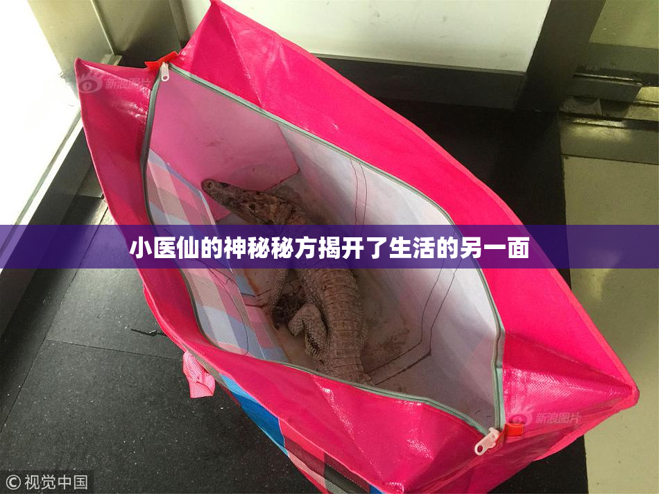 小医仙的神秘秘方揭开了生活的另一面