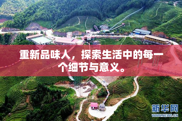 重新品味人，探索生活中的每一个细节与意义。