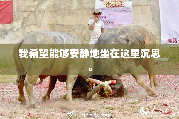 我希望能够安静地坐在这里沉思。