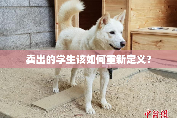 卖出的学生该如何重新定义？