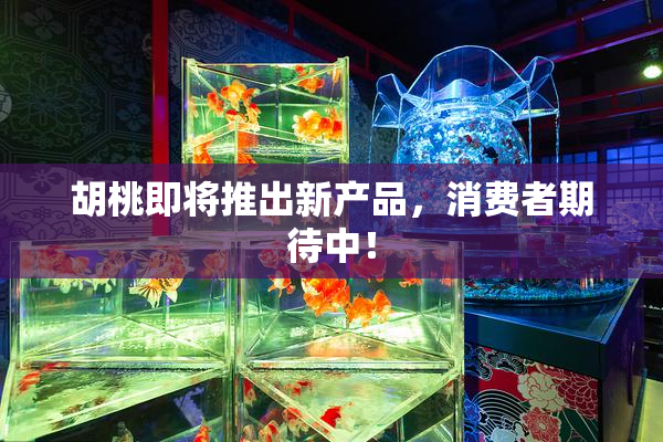 胡桃即将推出新产品，消费者期待中！