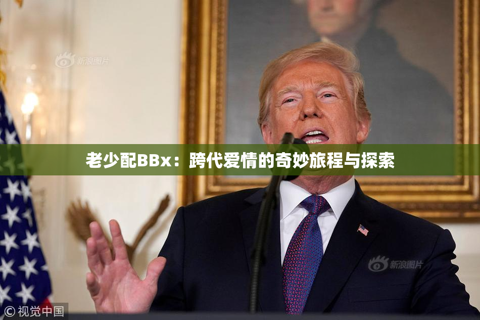 老少配BBx：跨代爱情的奇妙旅程与探索