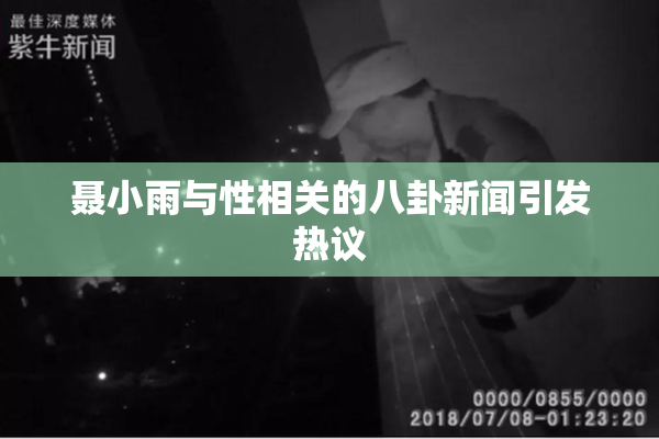 聂小雨与性相关的八卦新闻引发热议